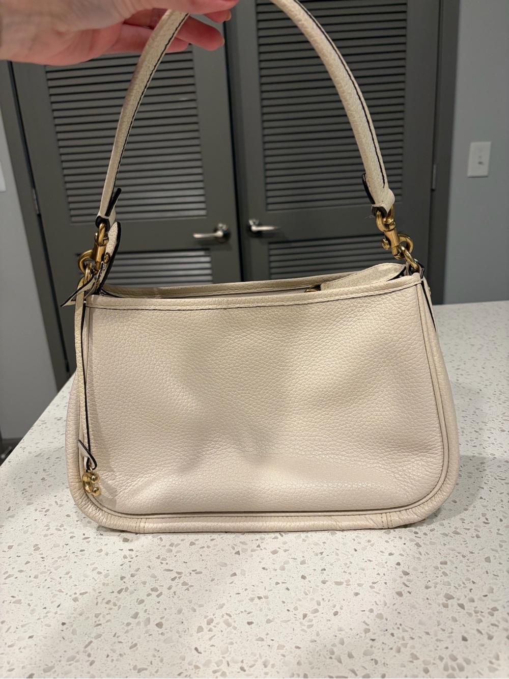 Coach Cary Bag No Crossbody Strap